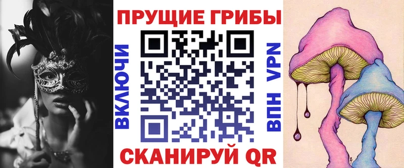 Псилоцибиновые грибы Psilocybe  наркота  Макушино 
